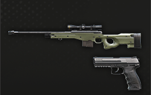 兵長 でもらえる AWP + P30L